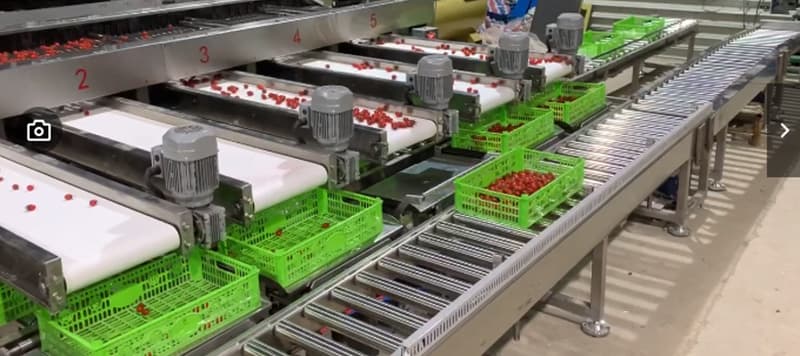 images/1650613146514automatic weighing system.jpg